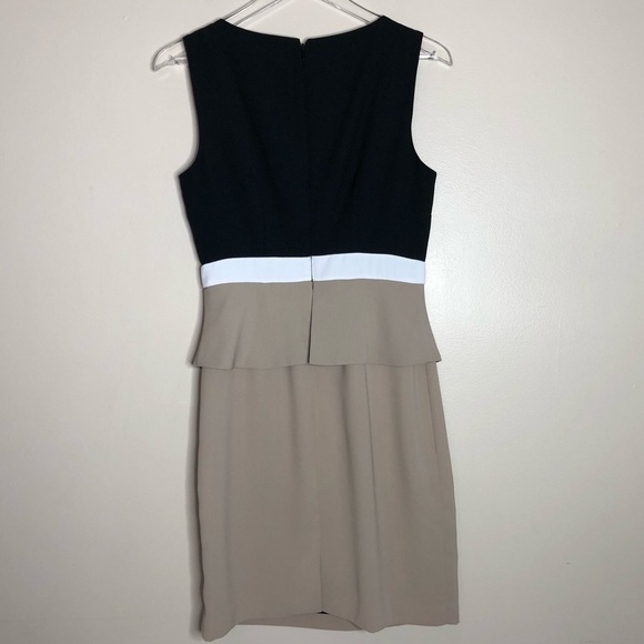 The Limited Color-block Peplum Dress - Picture 5 of 5